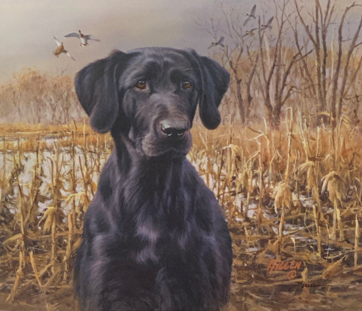 James Killen Field Day Black Lab Signed Hunting Art Print