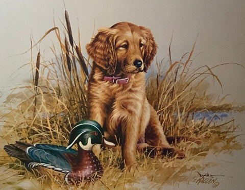 James Killen Great Beginnings Golden Retriever Decoy Art Print-Signed