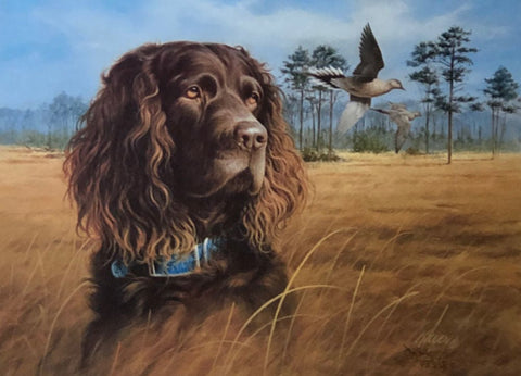 James Killen In The Field Boykin Spaniel S/N Art Print