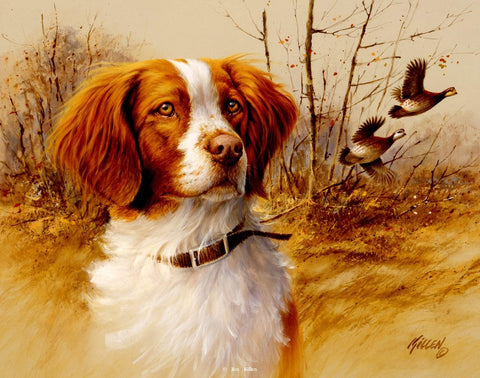 James Killen In the Field Brittany Spaniel S/N Print