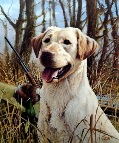 James Killen Thats my Dog Yellow Lab