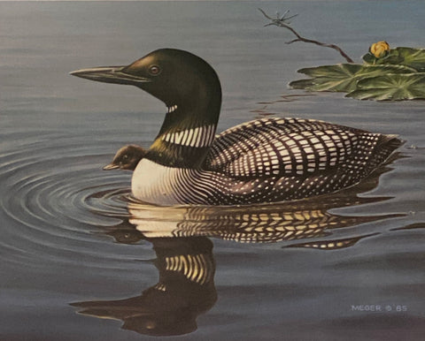 James Meger Apron Strings Loon Art Print-14 x 11.25