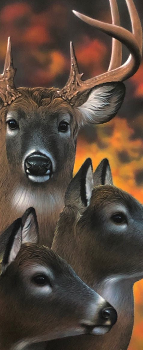 Jerry Gadamus Deer Trio S/N Deer Art Print 10 x 24