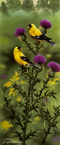 Jerry Gadamus Limited Edition Yellow Finch Art Print A Pinch of Gold (10x24)