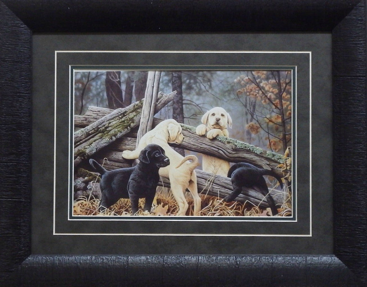Jerry Gadamus Little Rascals Lab Puppies -Framed