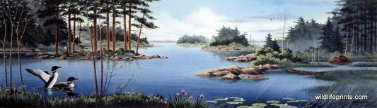 Jerry Raedeke Voice in the Wilderness
