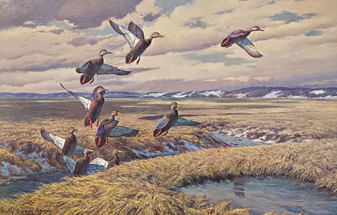 Jersey Coast-Black Ducks by Harry Adamson  S/N Art Print 25x16
