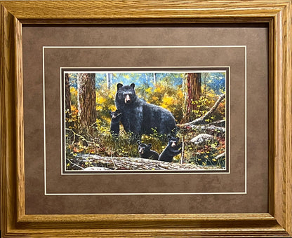 Jim Hansel Age Of Wonder- Framed - 21"x17" Open Edition - 21"x17" Open Edition