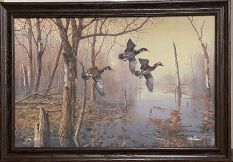 Jim Hansel Backwaters Wood duck Art S/N Print-Framed (Wood) 33 X 23