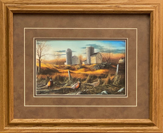 Jim Hansel Fenceline Ringnecks- Framed