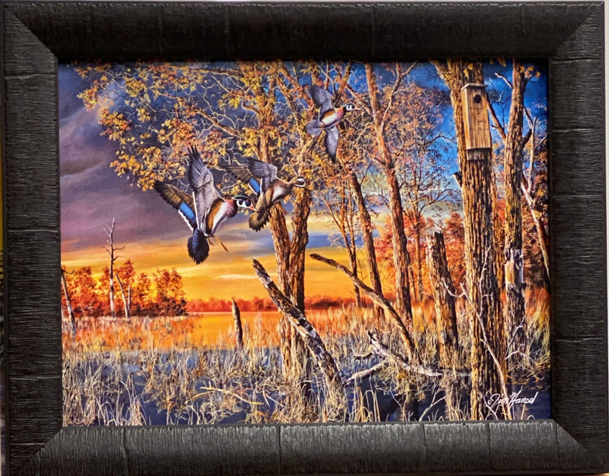 Jim Hansel Return to the Refuge Duck Art Print-Framed 19 x 15