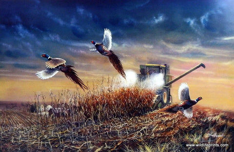 Jim Hansel The Last Pass Signed and Numbered Farm Pheasant Print  29 x 19