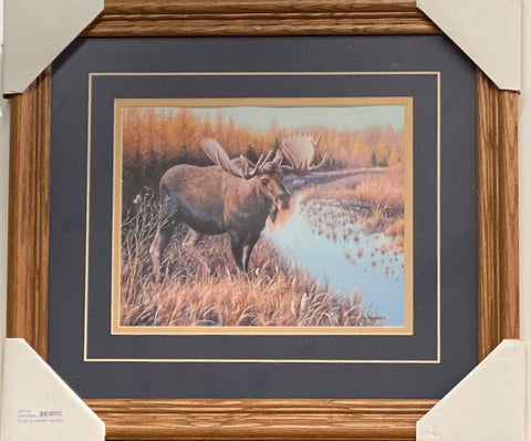 Jim Kasper Tamarack Moose Art Print-Framed 19 x 16.5 Free Shipping!!