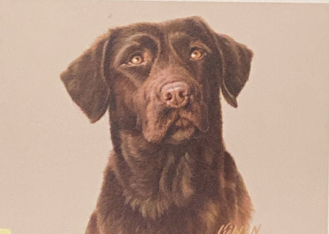 Jim Killen Chocolate Lab S/O CE (9x6.5)