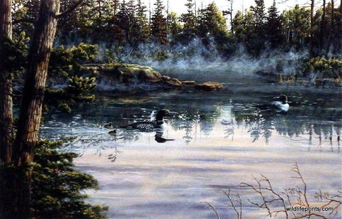 John McFaul Twins II Loons