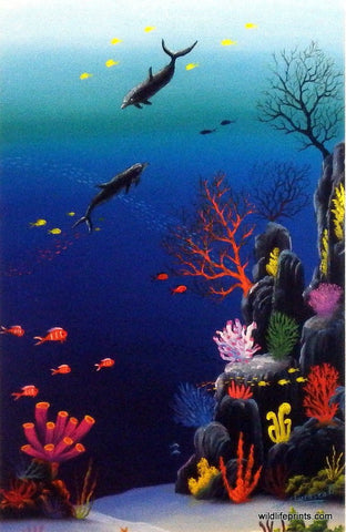 Jose Paulino Coral Play