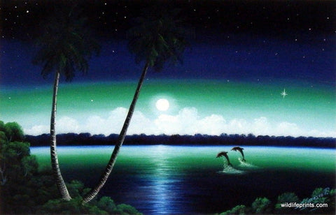 Jose Paulino Tropical Nights