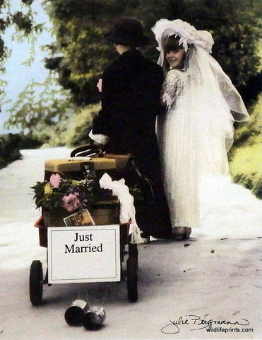 Julie Bergman New Beginnings-Just Married