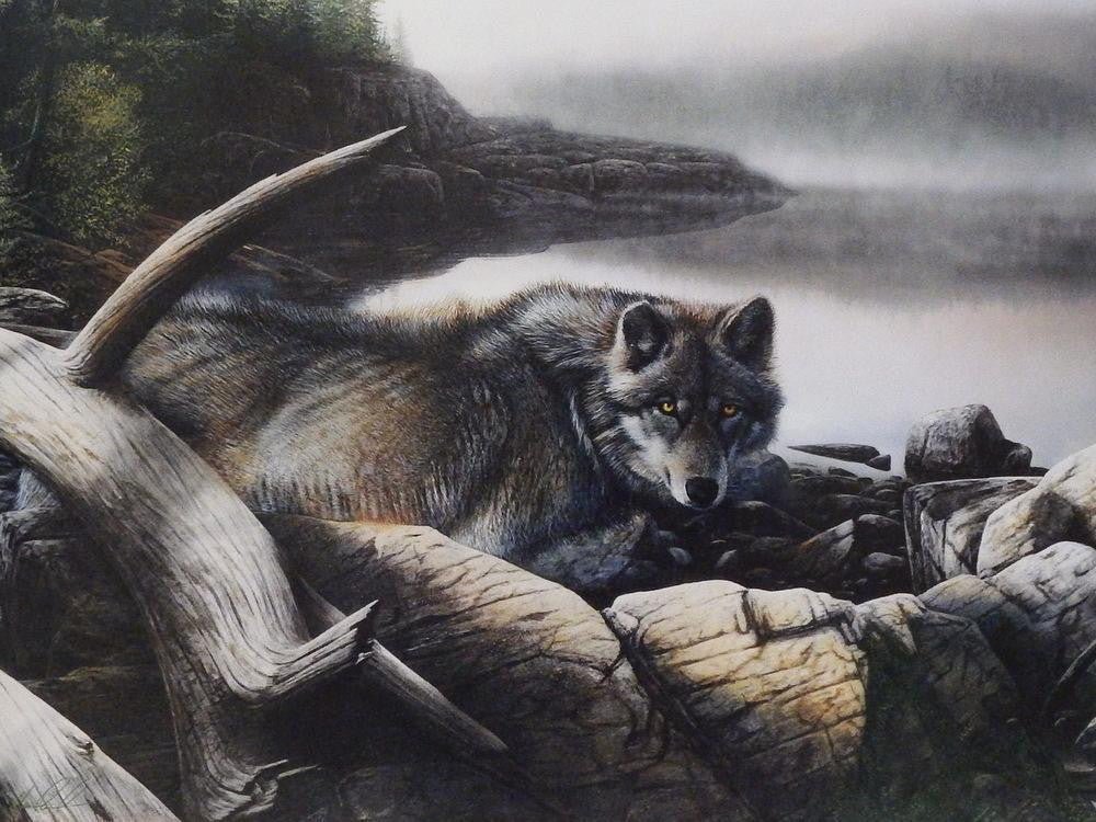 Kevin Daniel Lone Wolf