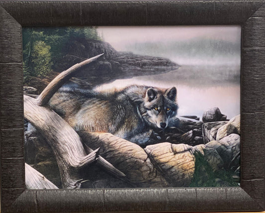 Kevin Daniel Lone Wolf Art Print-Framed