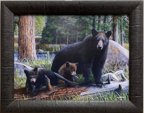 Kevin Daniel New Discoveries Bear and Cubs Art Print-Framed