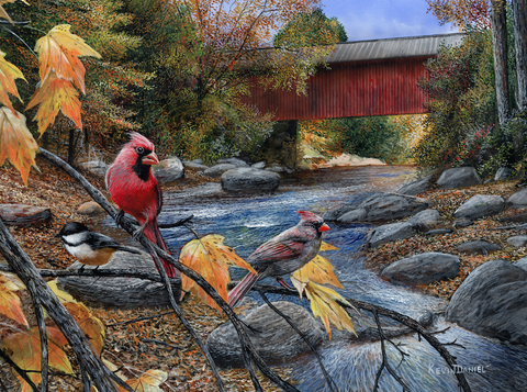 Kevin Daniel Shared Moment Art Bird Print