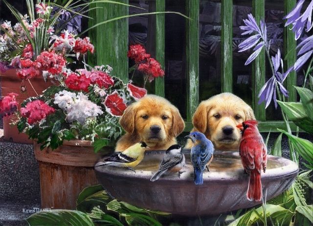 Kevin Daniel Stand Off Birds and Puppy Art Print