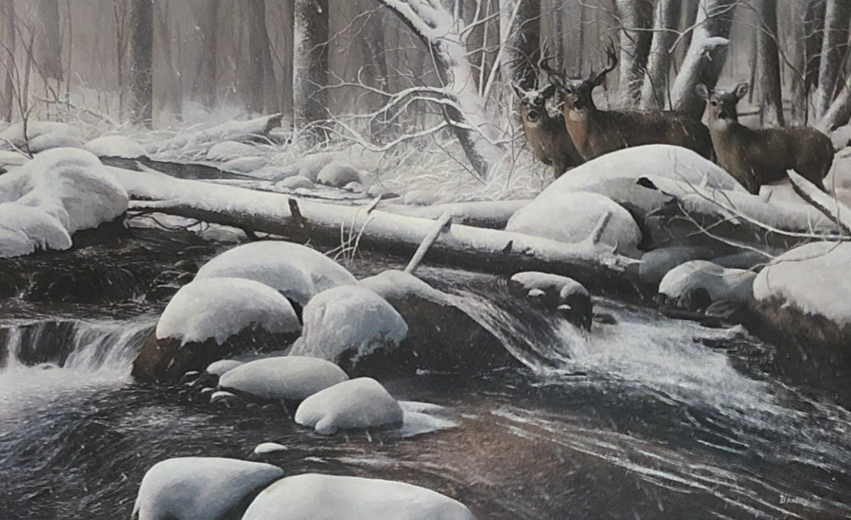 Kevin Daniel Winter Silence Deer S/N Art Print