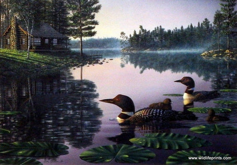 Kim Norlien Northern Tranquility - 10"x7"- Open Edition