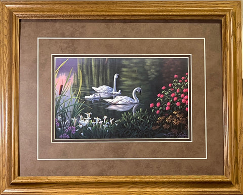 Kim Norlien Swan Family Flowers and Pond Art Print-Framed 21 x 17