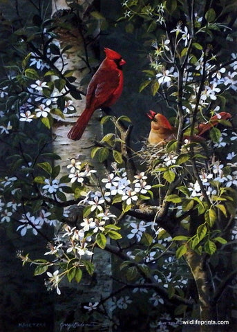 Kloetzke, Gadamus, Schultz, Zoellick Spring Bonding