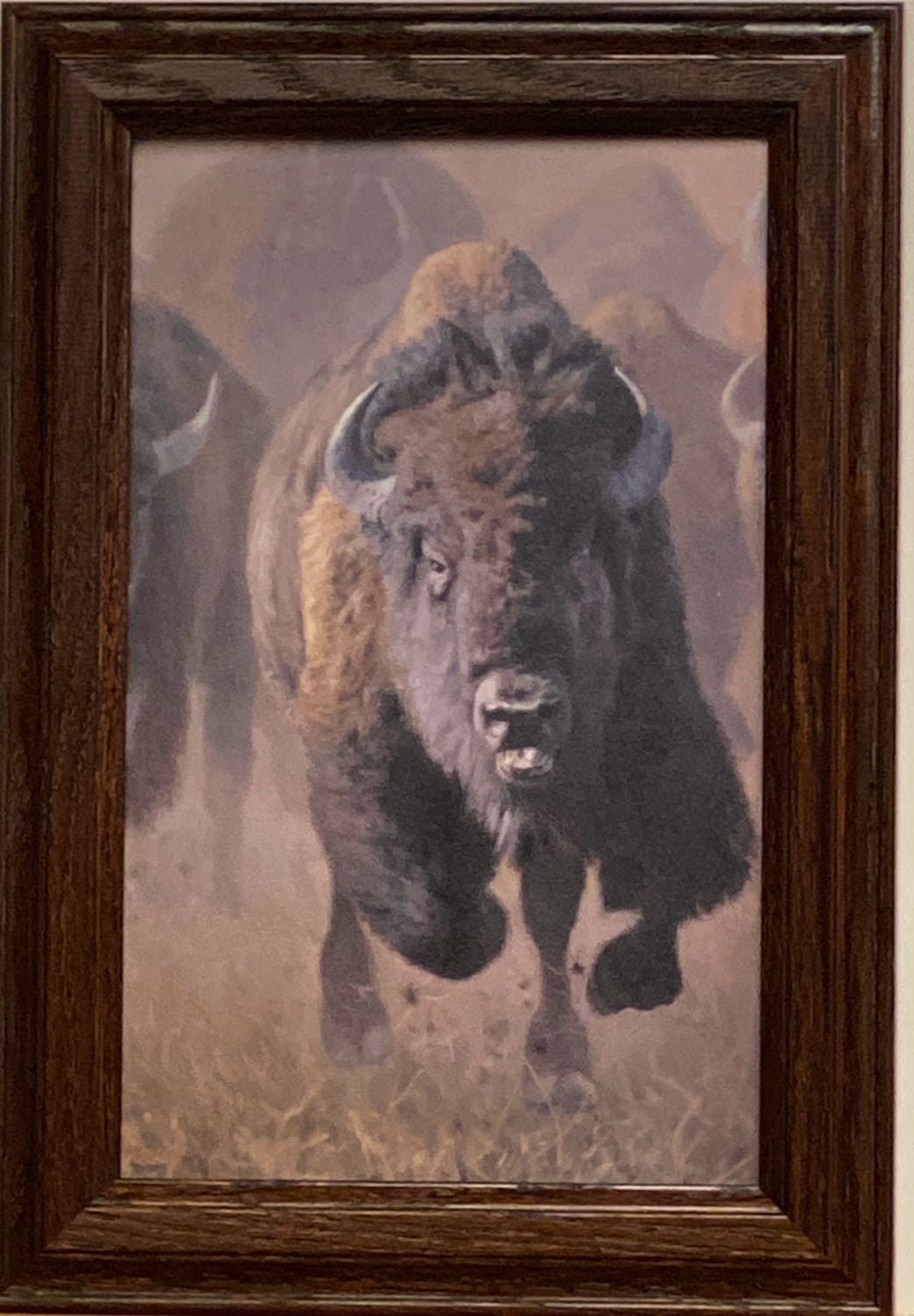 Kyle Sims Full Throttle Buffalo Art Print-Framed Decorator 10.5 x 14.5