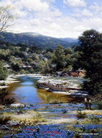 Larry Dyke Bluebonnets Along the Frio