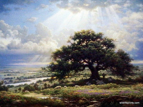 Larry Dyke Everlasting Arms