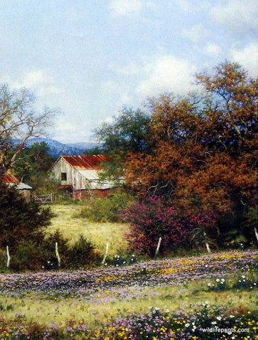 Larry Dyke Hazy Day
