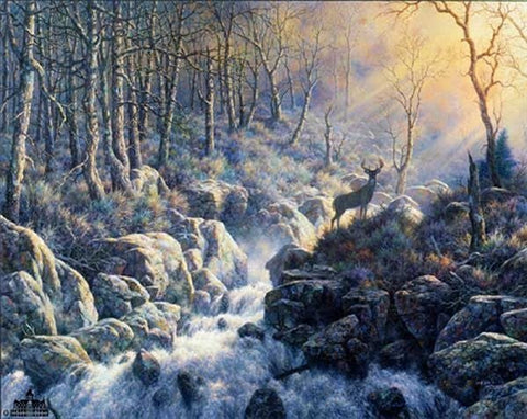 Larry Dyke Revealing Light
