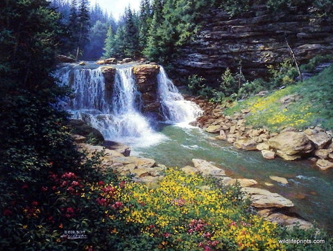 Larry Dyke Waterfall