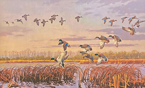 Lee LeBlanc S/N Mallard Art Print View From the Blind (Twin Rivers) (25.75"x16")
