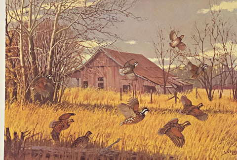 Lee LeBlanc S/N Quail Art Print Sycamores and Bobwhites (25"x17")