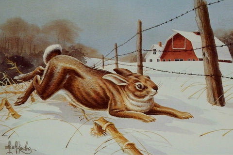 Les Kouba Cottontail Headin For Cover S/N Art Print