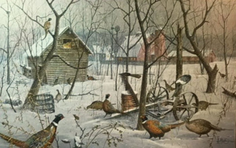 Les Kouba In Shelter Pheasant Stretched Canvas Art