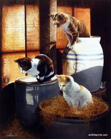 Linda Daniels The Three Mousekateers
