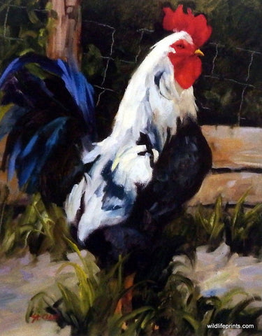 Linda St. Clair Don't Fence Me In