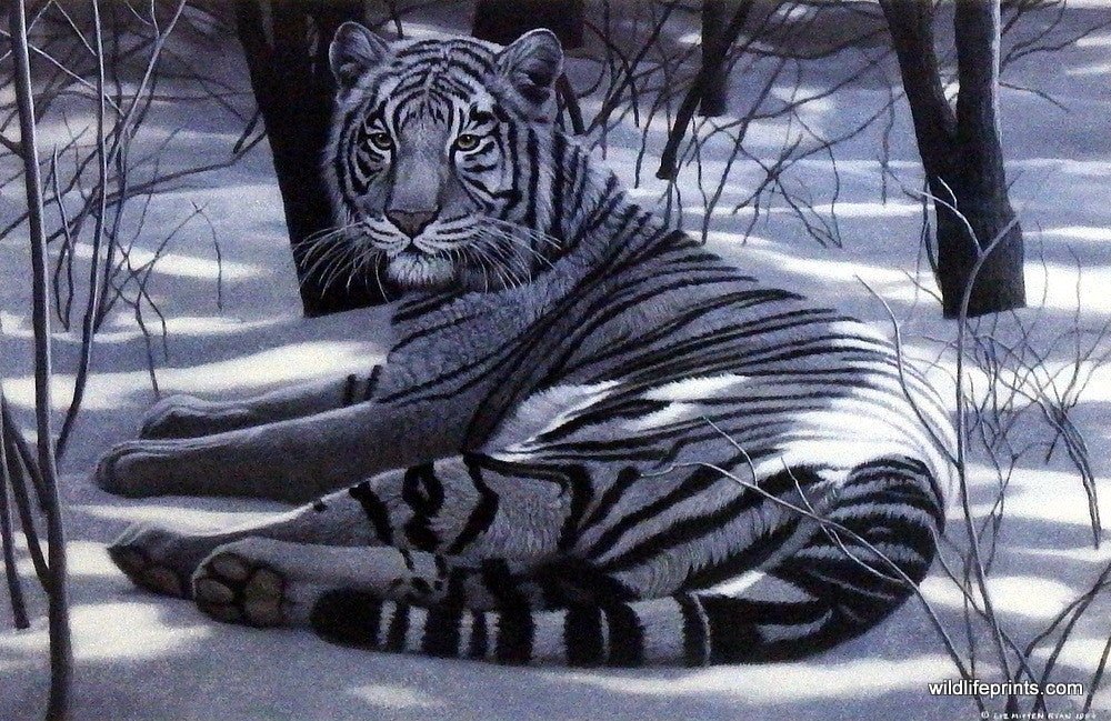 Liz Mitten Ryan Quiet Time
