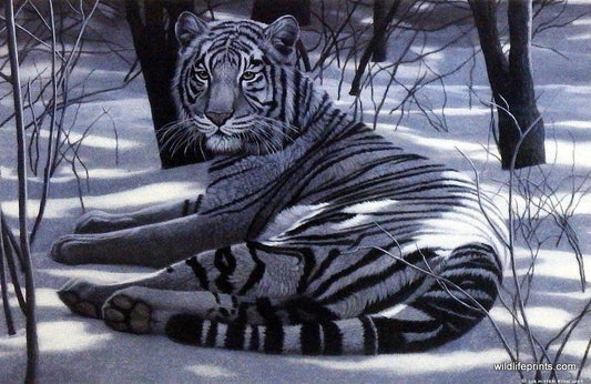 Liz Mitten Ryan Quiet Time