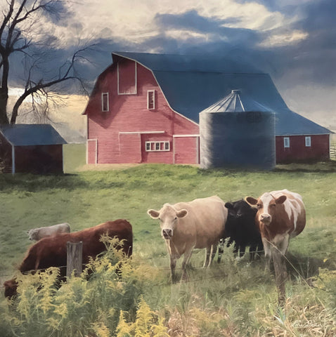 Lori Deiter Cow and Red Barn Art Print Wyoming Sunset (12x12)