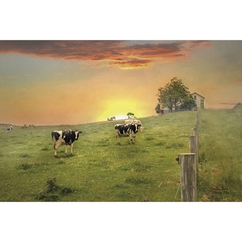 Lori Deiter Morning Moos Country Cow Art Print 18 x 12 Free Shipping
