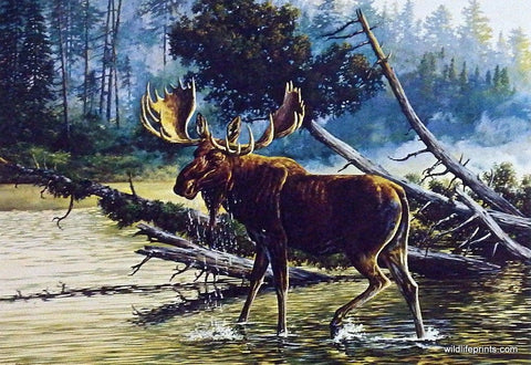 Louis Raymer Moose