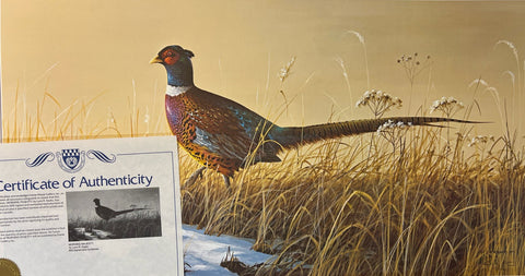 Lynn Kaatz Morning Majesty S/N Pheasant Art Print with cert 28 x 15