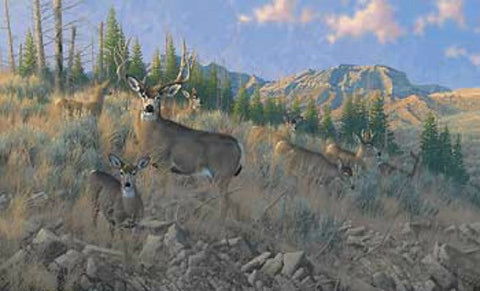 Micheal Sieve The Magic Hour Mule Deer S/N Print